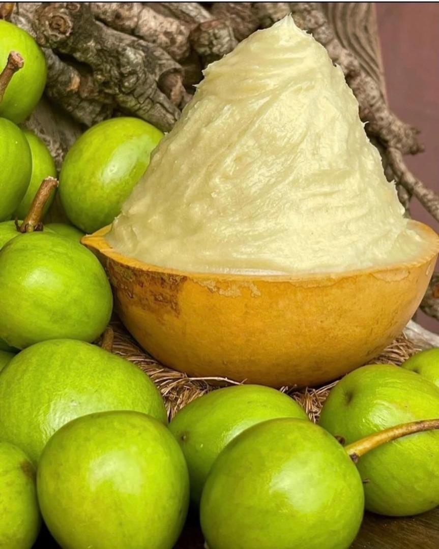Nilotica shea butter surrounded by fresh shea fruit