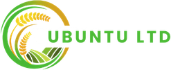 Ubuntu Ltd